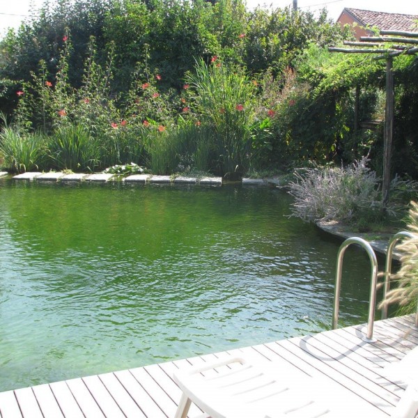 Liner Piscina ALKORPLAN NATURAL POOL BIO PISCINE in PVC-P 150/100 h 2,05x20 m - 41,00 m²